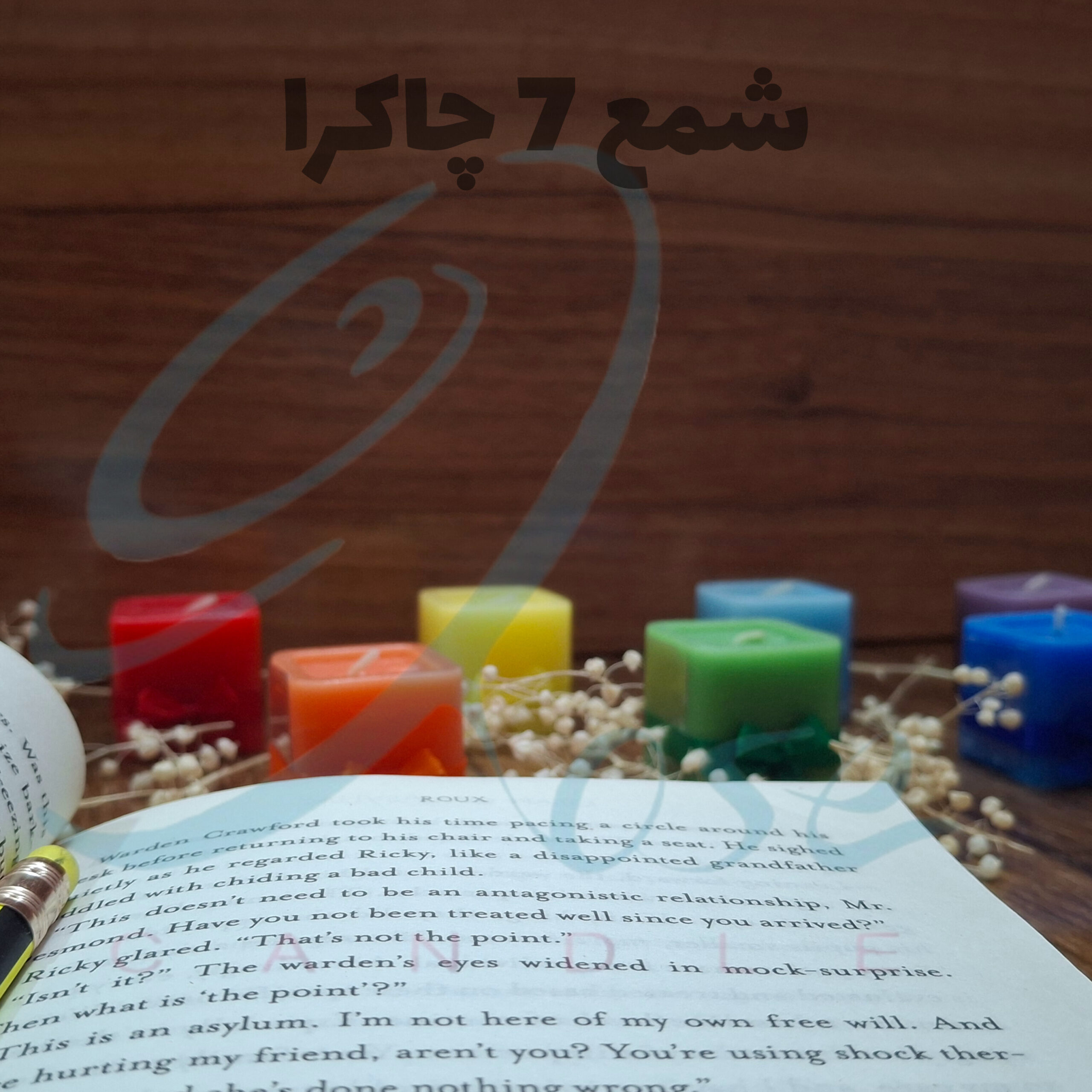 InShot_20250924_144004729